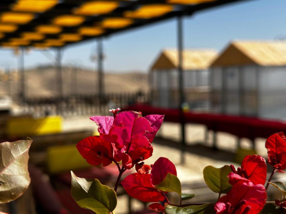 Wadi Al-Wala View Camp Hotel Madaba Luaran gambar